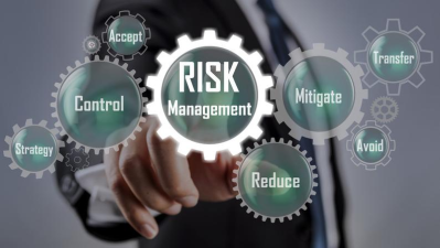 Strategic Risk Management in Corporate Governance